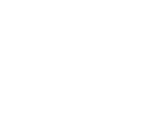 BIDE